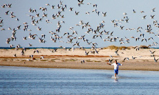 Djerba